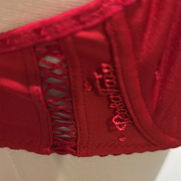 NWT Rosa Faia Cranberry Daisy Rose Underwire Bra 32D - Picture 3 of 6